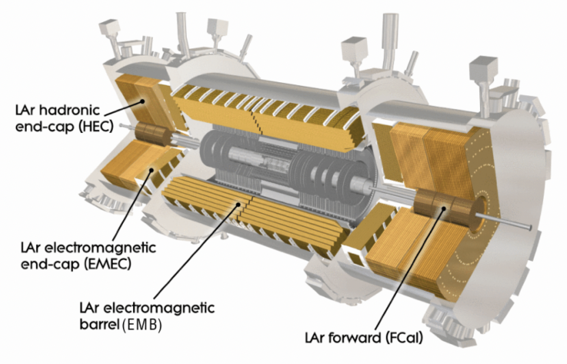 ATLAS LAr Calorimeter